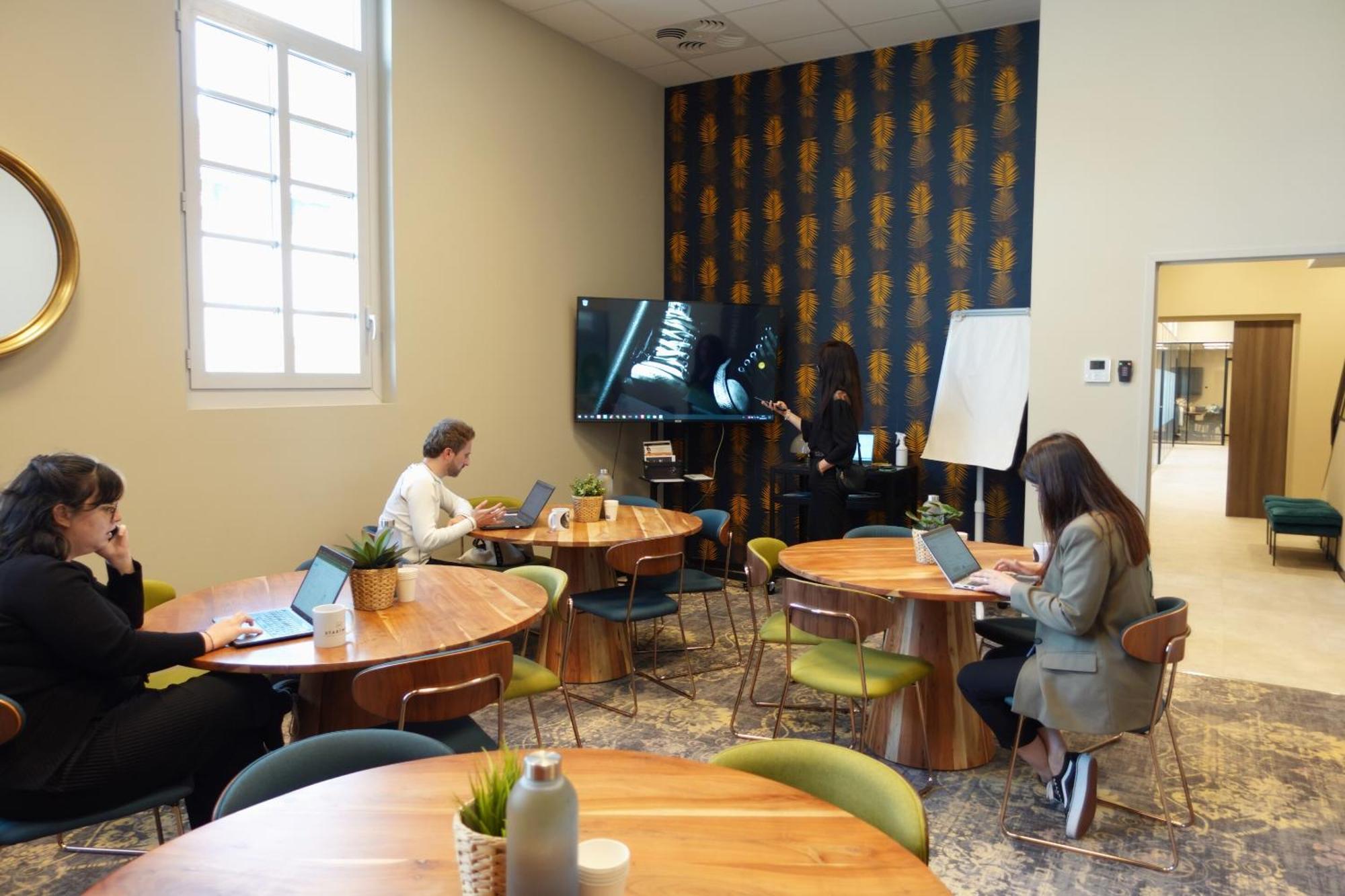 Appartement Mitwit Office Coliving *